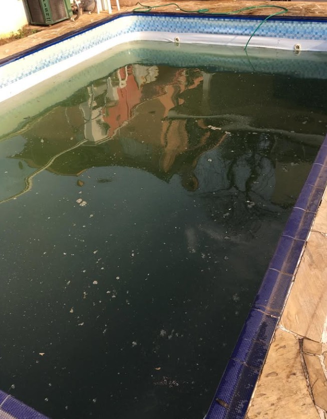 A mesma piscina com água verde e escura antes do tratamento
